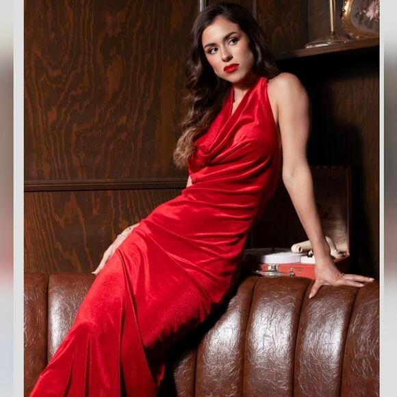 NWT ZARA VELVET MIDI DRESS - Picture 3 of 15